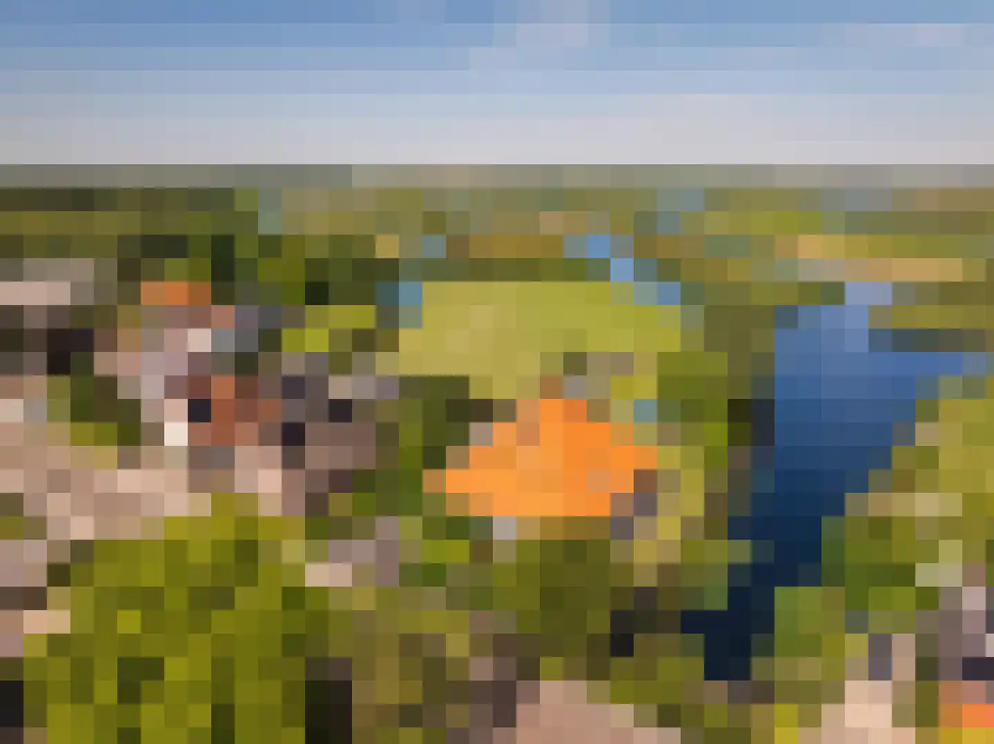 Den Ilp 1 Den Ilp thumbnail 9