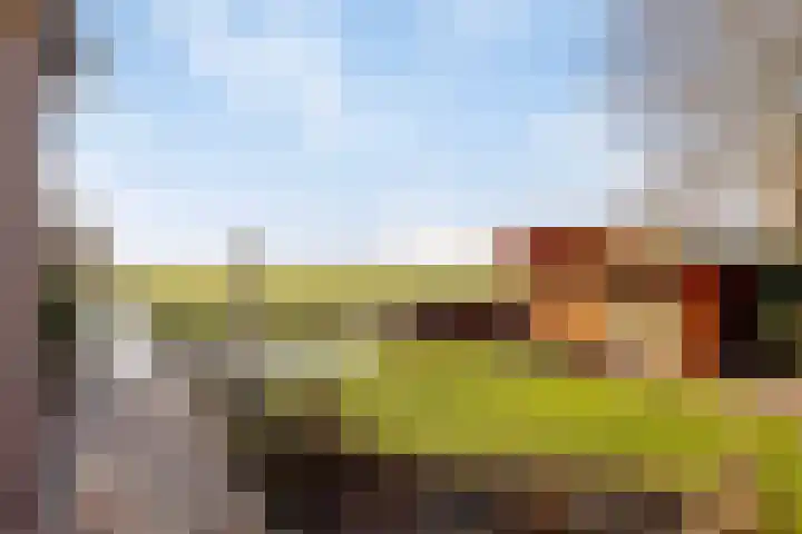 Den Ilp 103 Den Ilp thumbnail 18