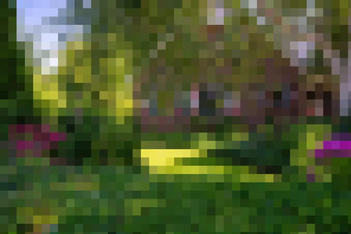 Den Ilp 103 Den Ilp thumbnail 21