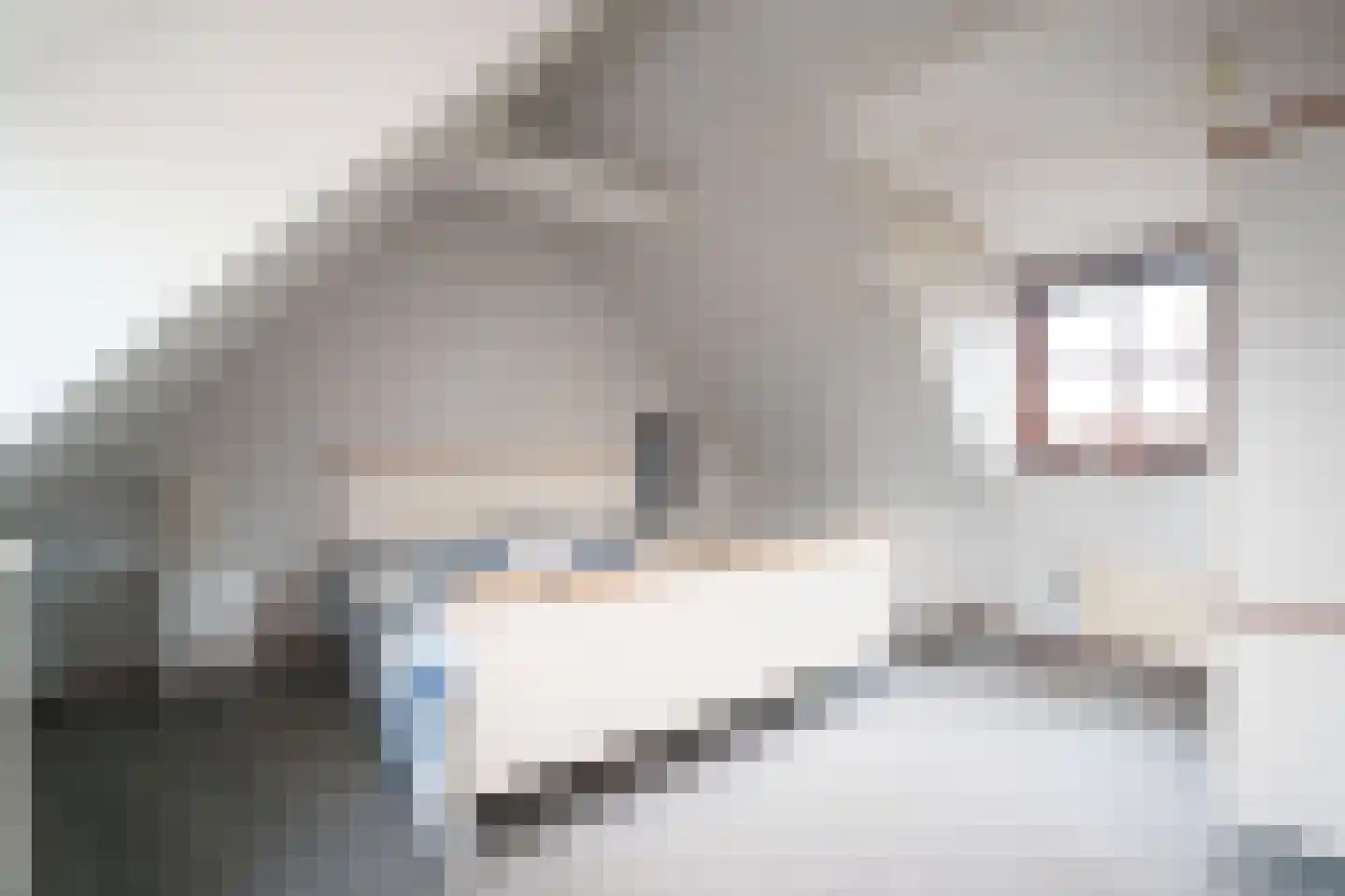Den Ilp 103 Den Ilp thumbnail 24