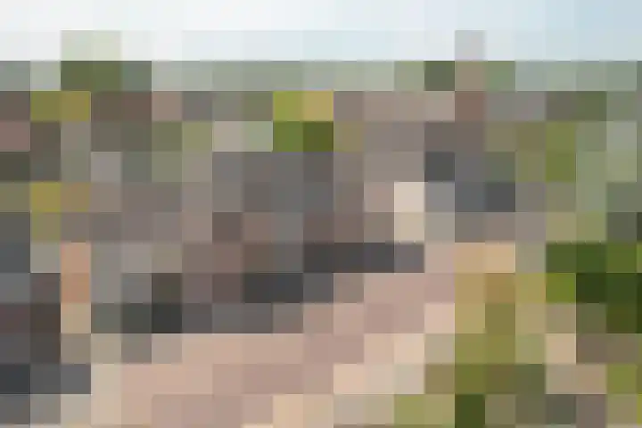 Den Ilp 103 Den Ilp thumbnail 29