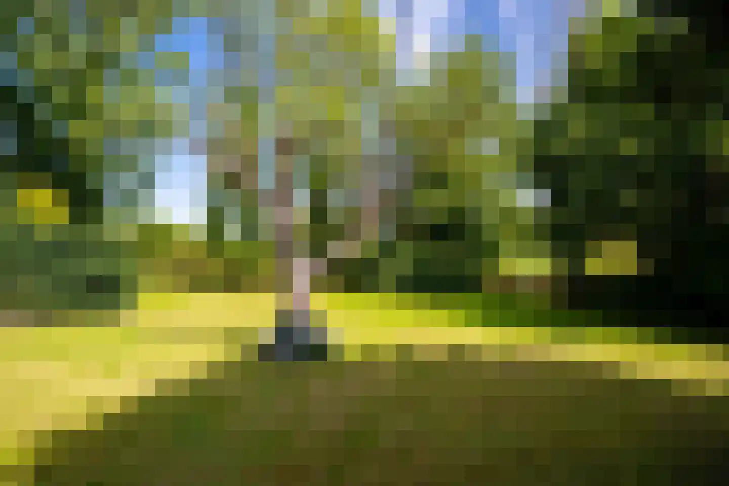 Den Ilp 103 Den Ilp thumbnail 33