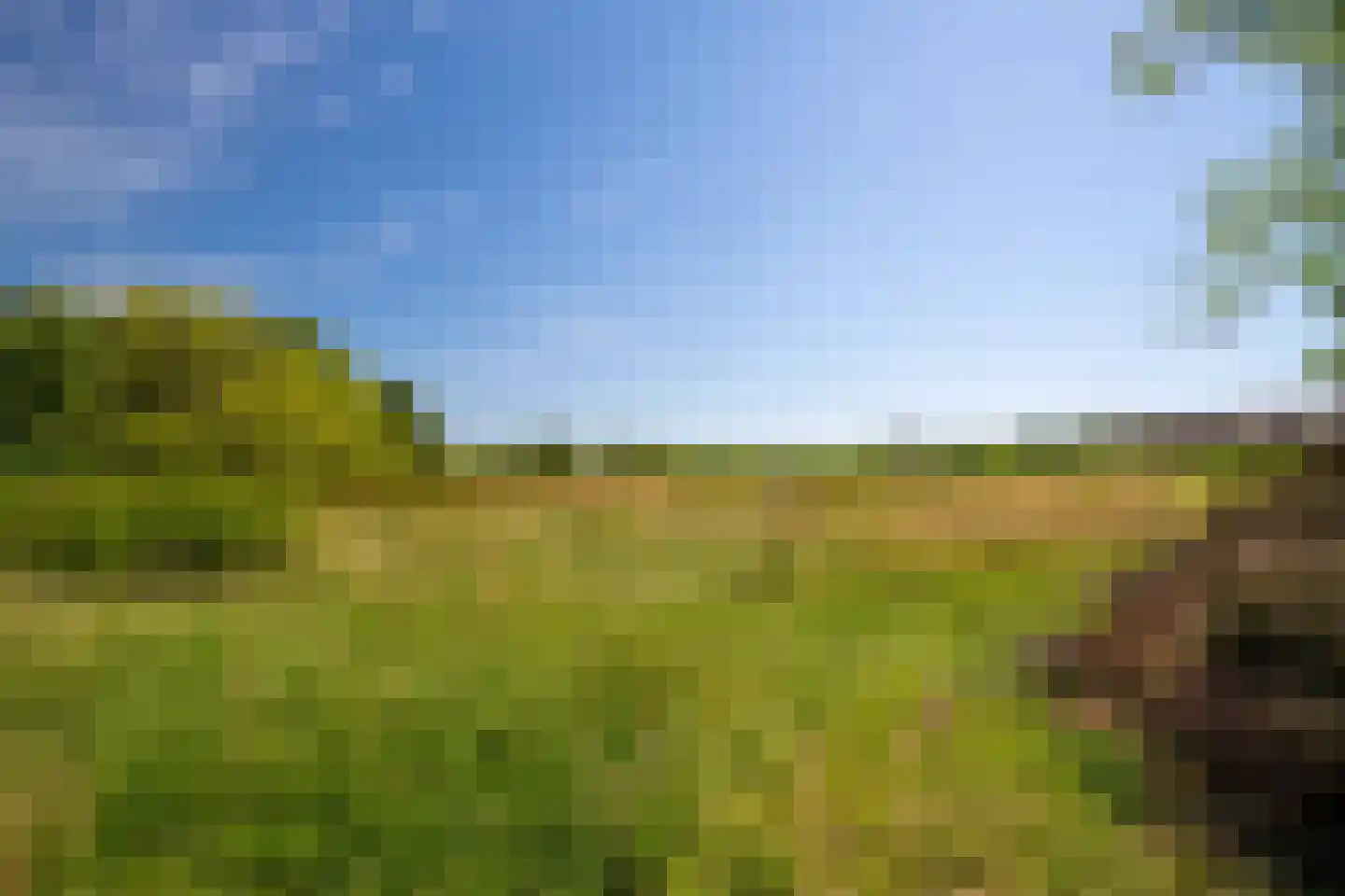 Den Ilp 103 Den Ilp thumbnail 35