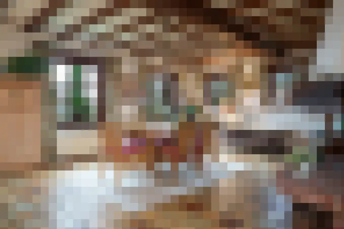 Den Ilp 103 Den Ilp thumbnail 7