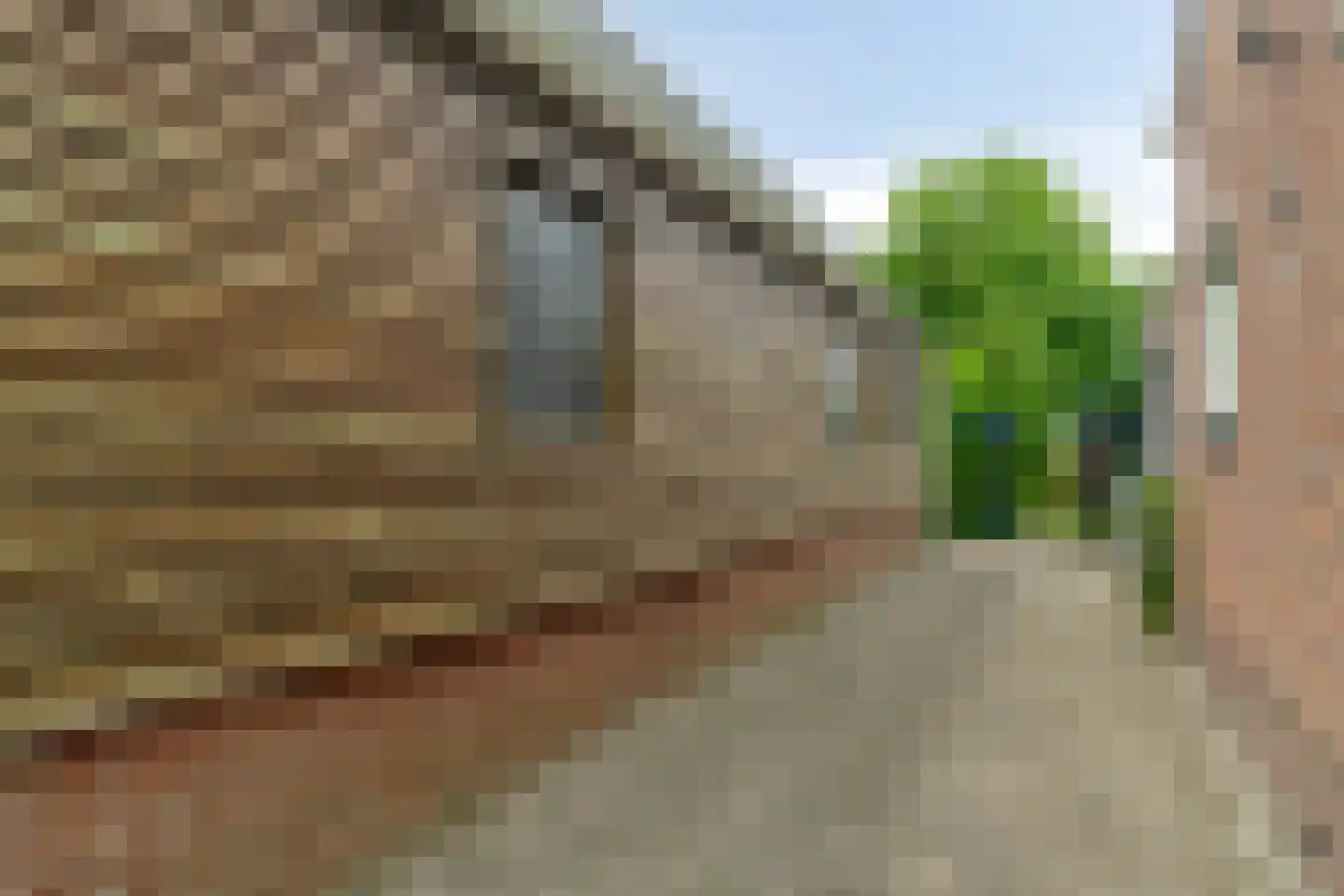Den Ilp 111 Den Ilp thumbnail 78