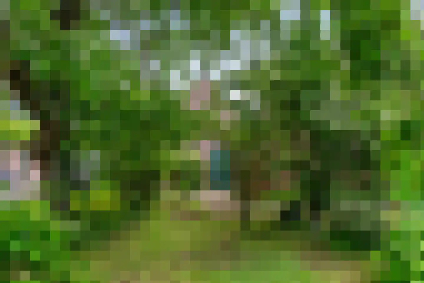 Den Ilp 111 Den Ilp thumbnail 80