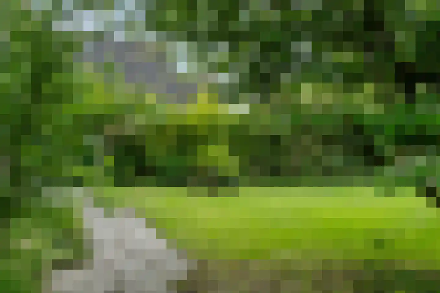 Den Ilp 111 Den Ilp thumbnail 81