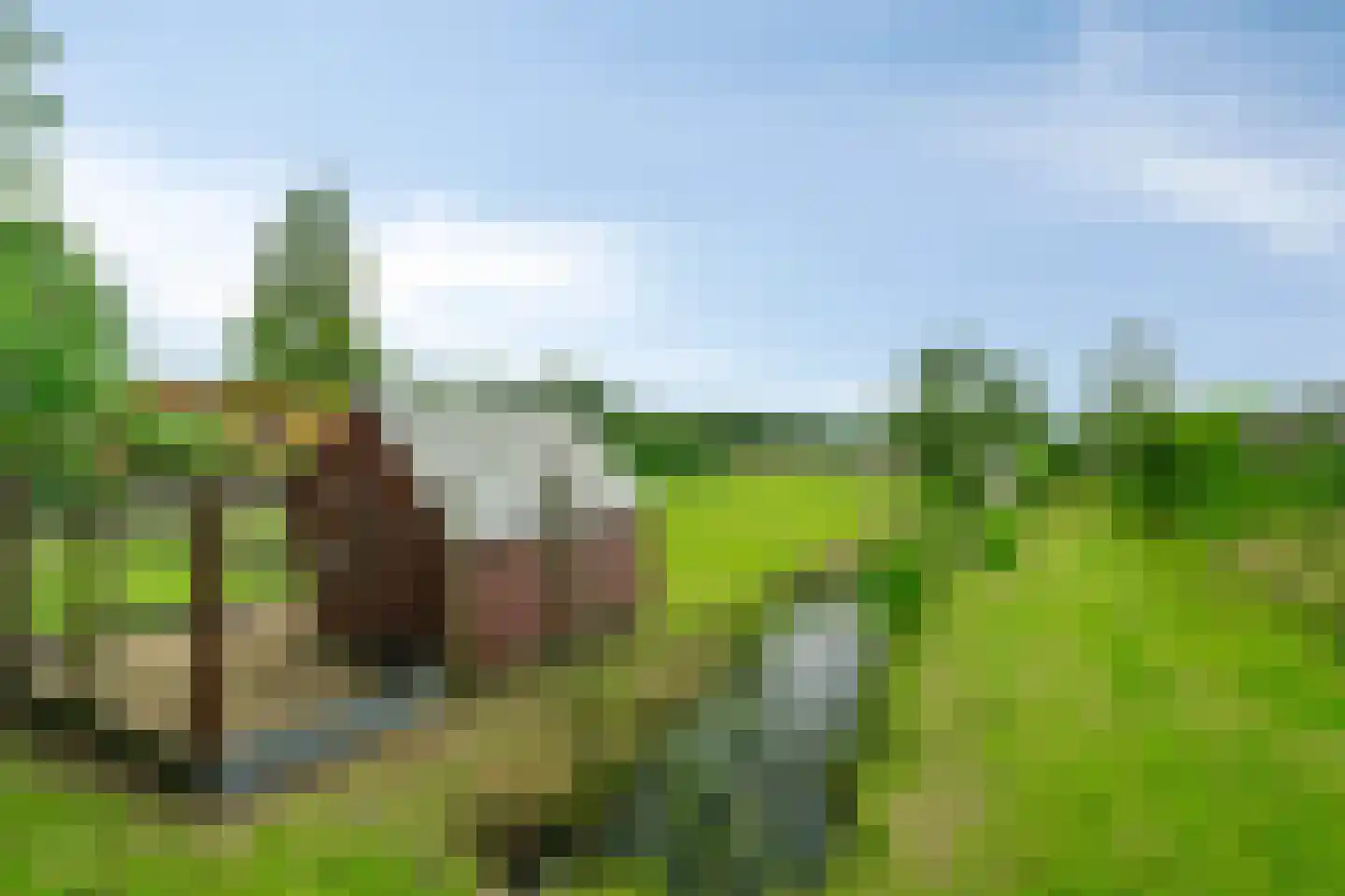 Den Ilp 111 Den Ilp thumbnail 82
