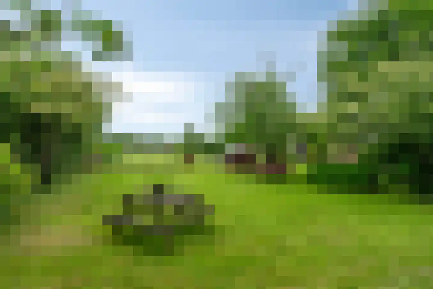 Den Ilp 111 Den Ilp thumbnail 87