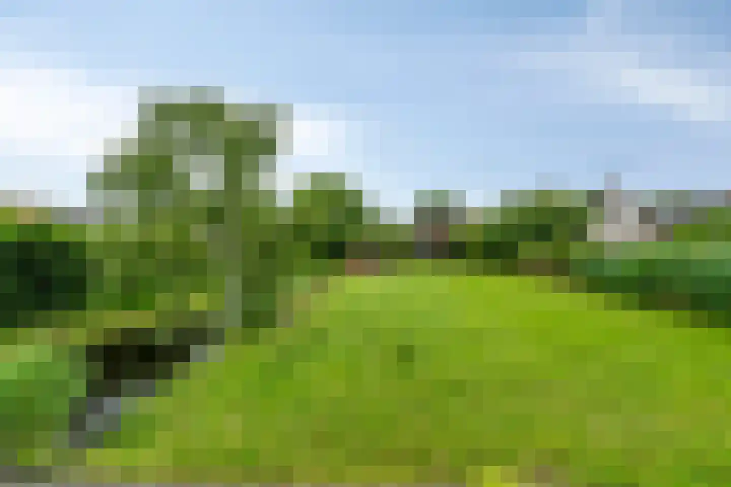 Den Ilp 111 Den Ilp thumbnail 88