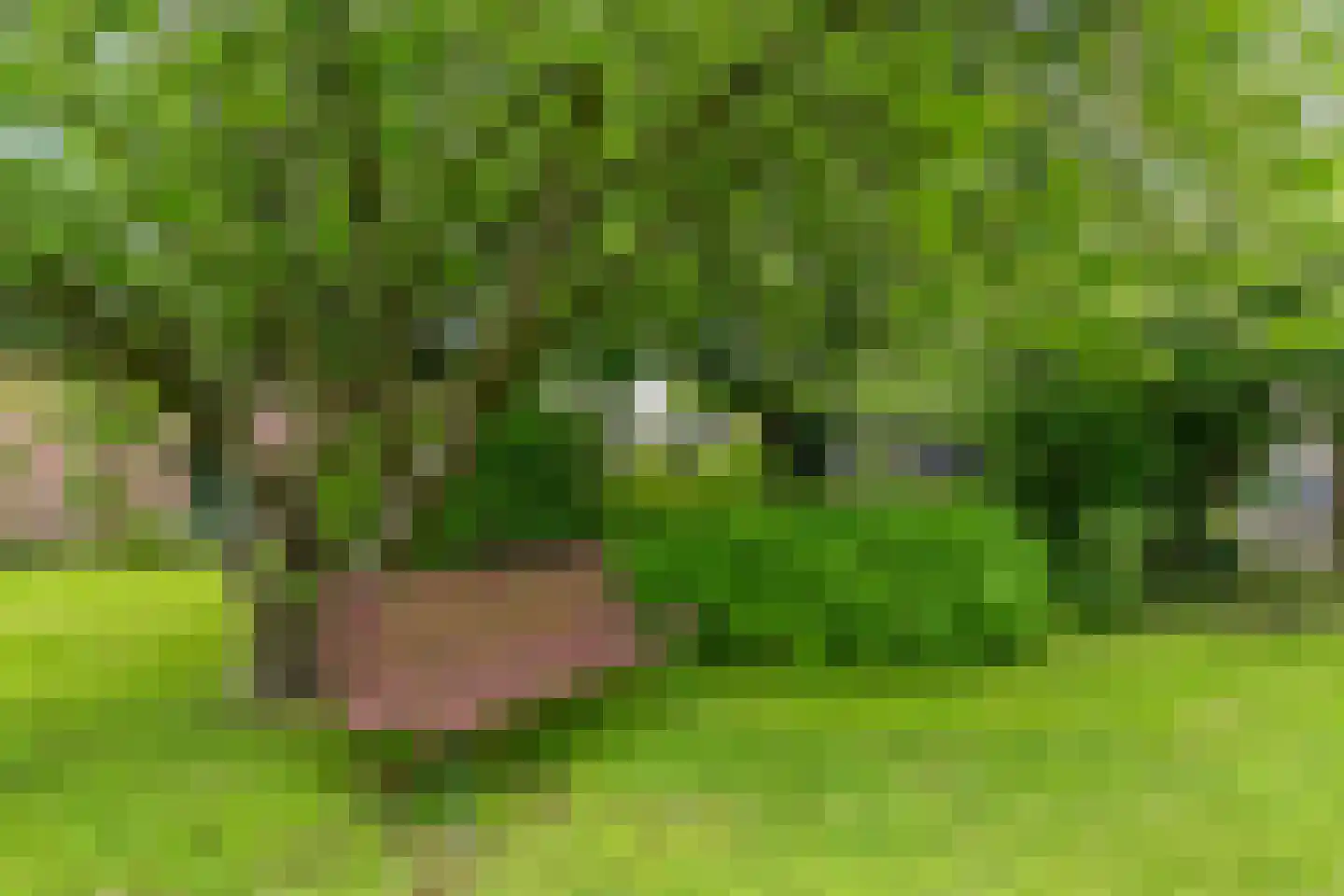 Den Ilp 111 Den Ilp thumbnail 89