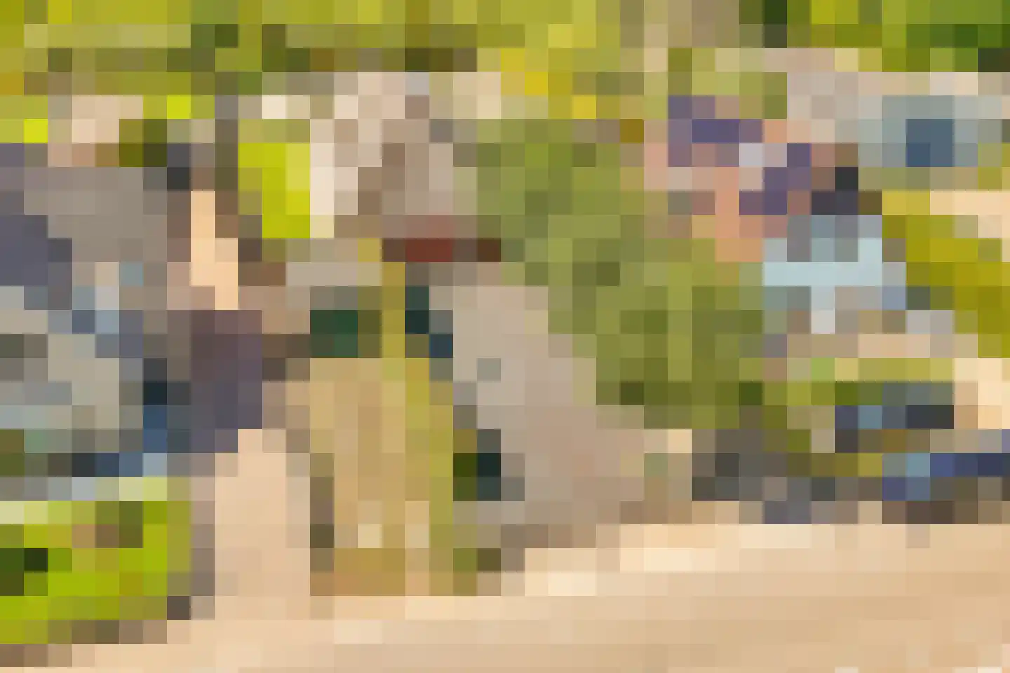 Den Ilp 125 Den Ilp foto 2