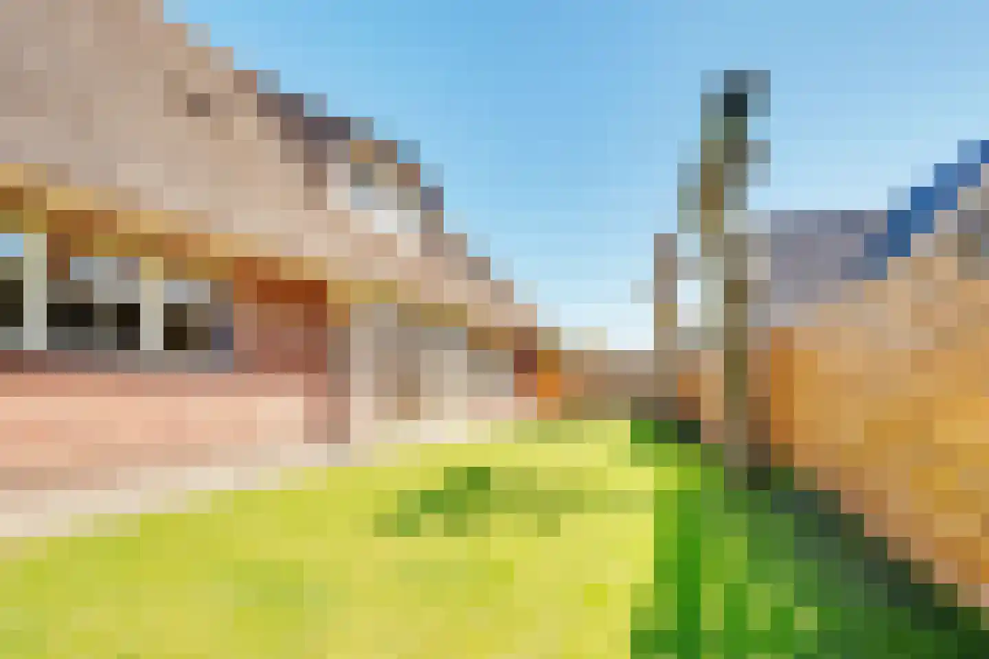 Den Ilp 125 Den Ilp thumbnail 7