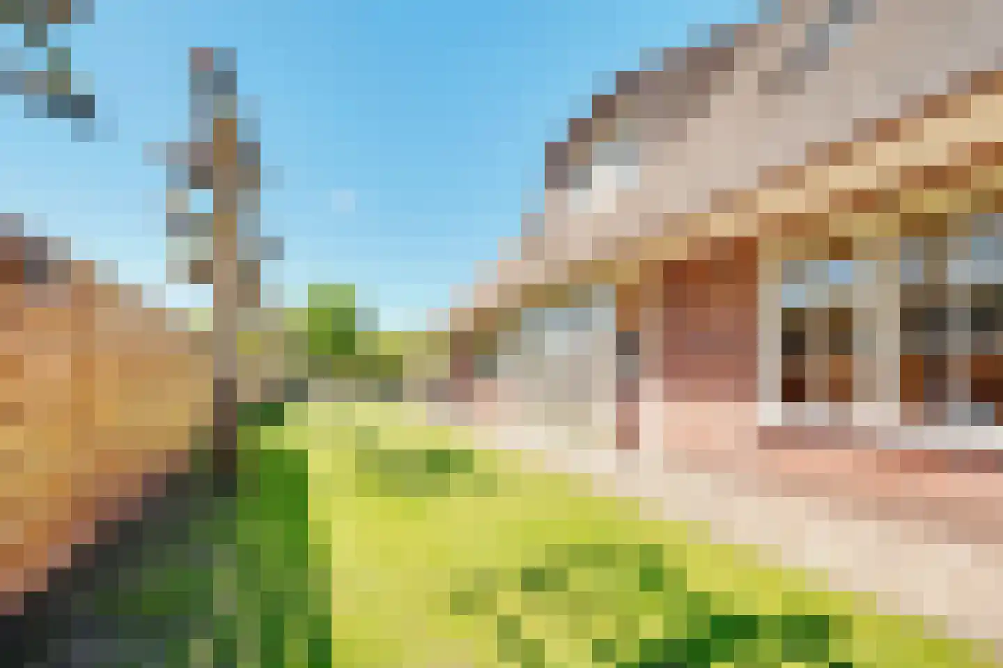 Den Ilp 125 Den Ilp thumbnail 8