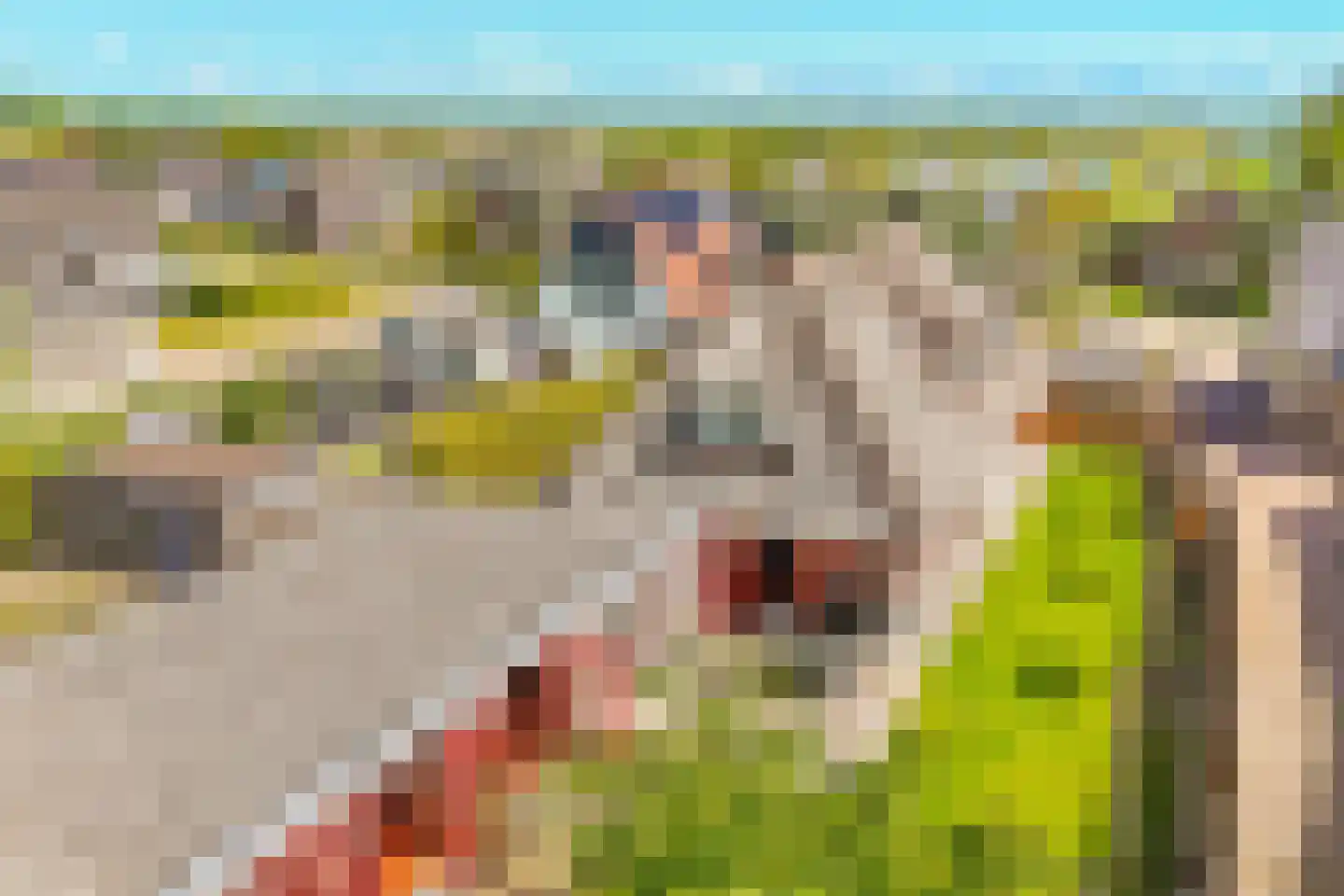 Den Ilp 125 Den Ilp thumbnail 9