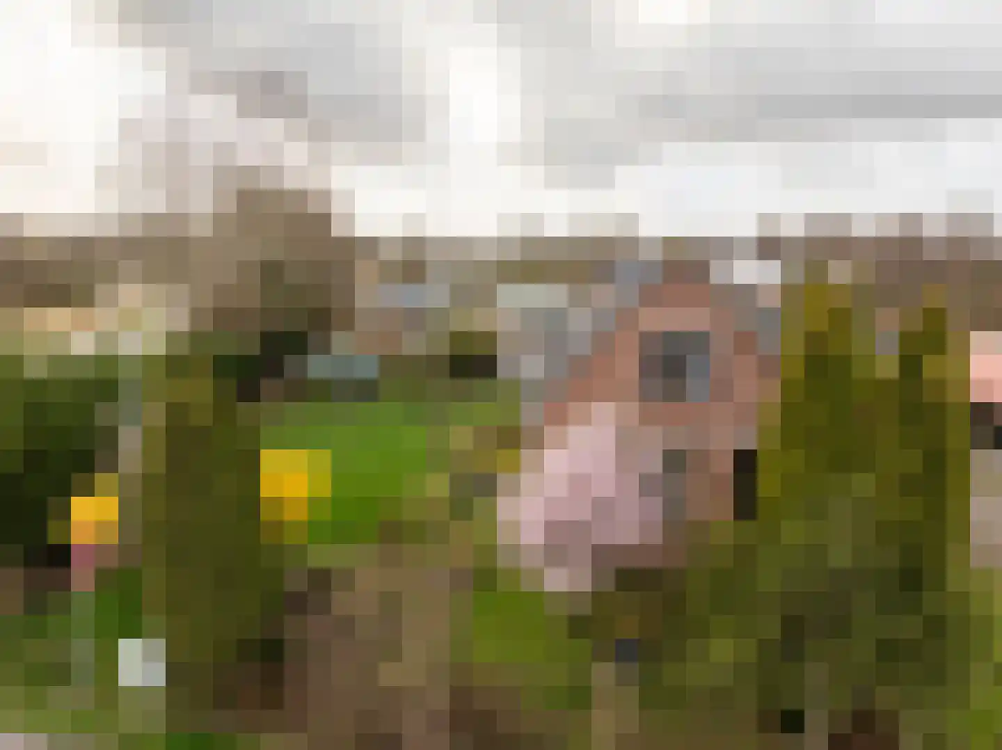 Den Ilp 173 Den Ilp thumbnail 11