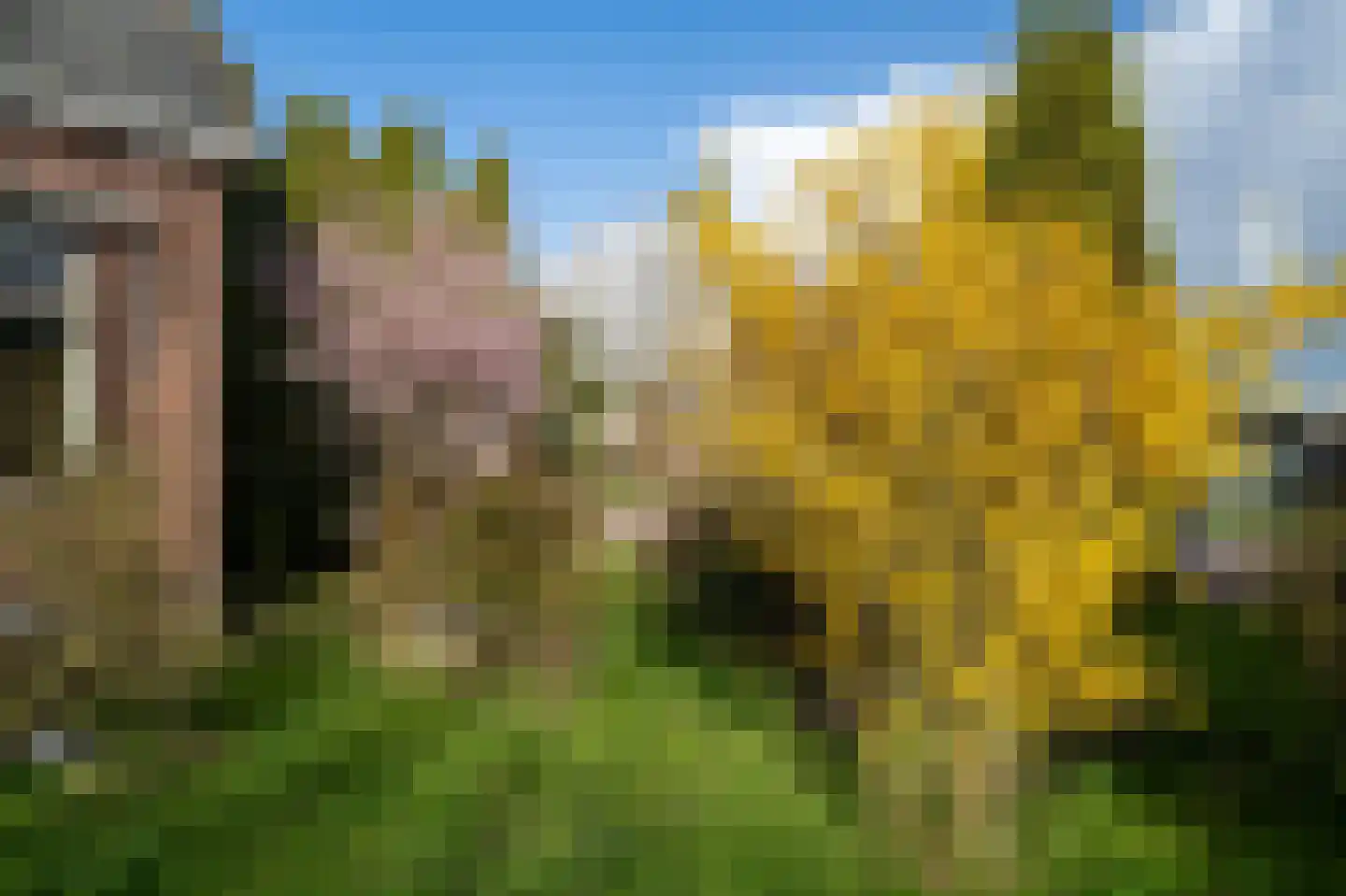 Den Ilp 173 Den Ilp thumbnail 13