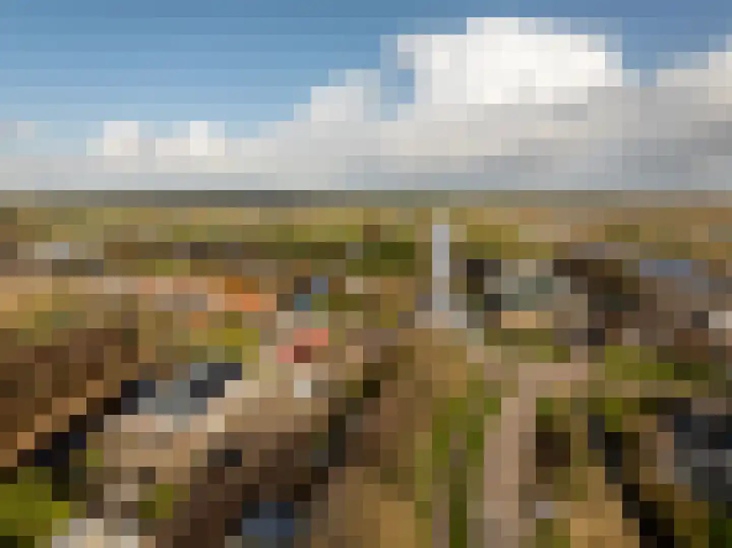 Den Ilp 173 Den Ilp thumbnail 29