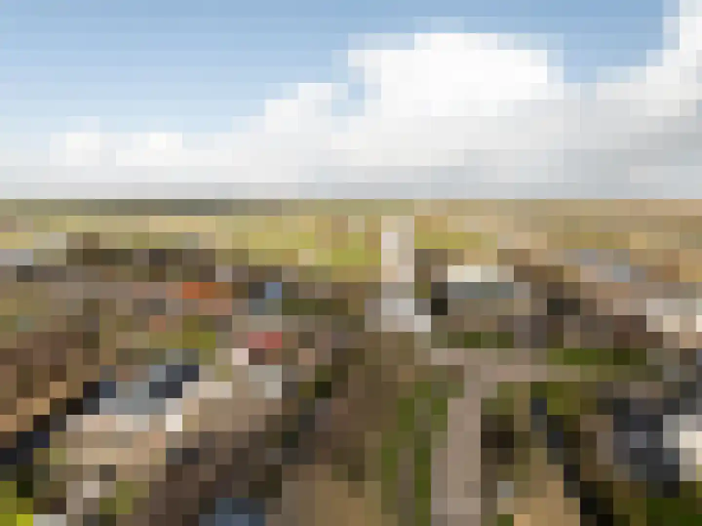 Den Ilp 173 Den Ilp thumbnail 4