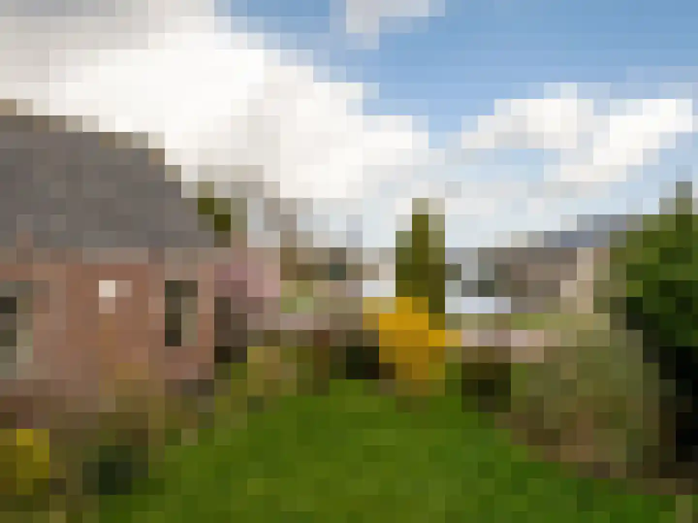 Den Ilp 173 Den Ilp thumbnail 8