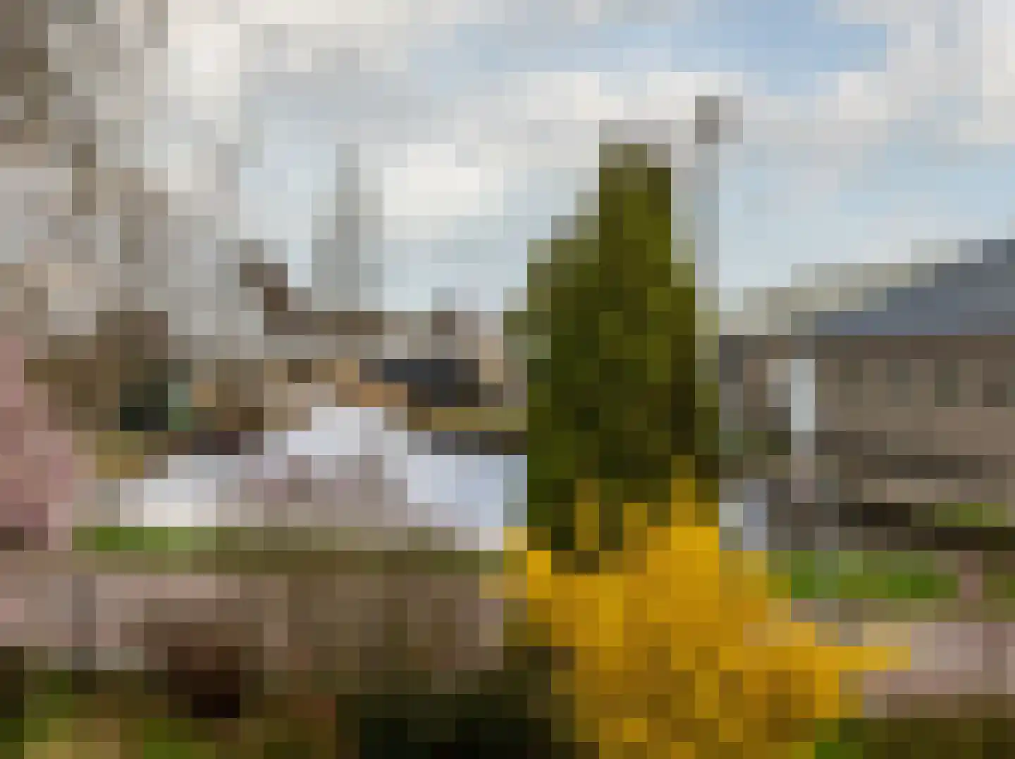 Den Ilp 173 Den Ilp thumbnail 9