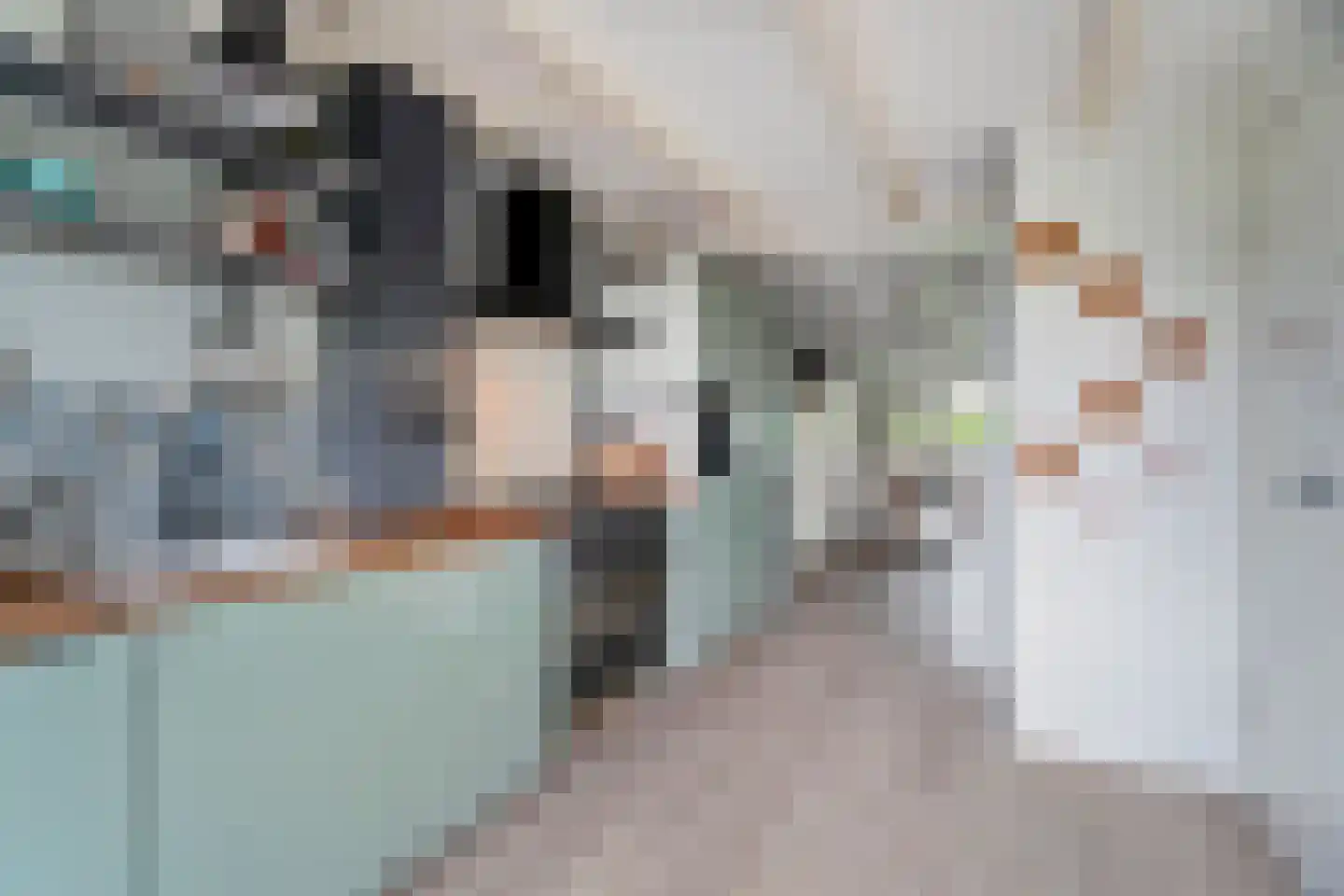 Den Ilp 200 Den Ilp thumbnail 13