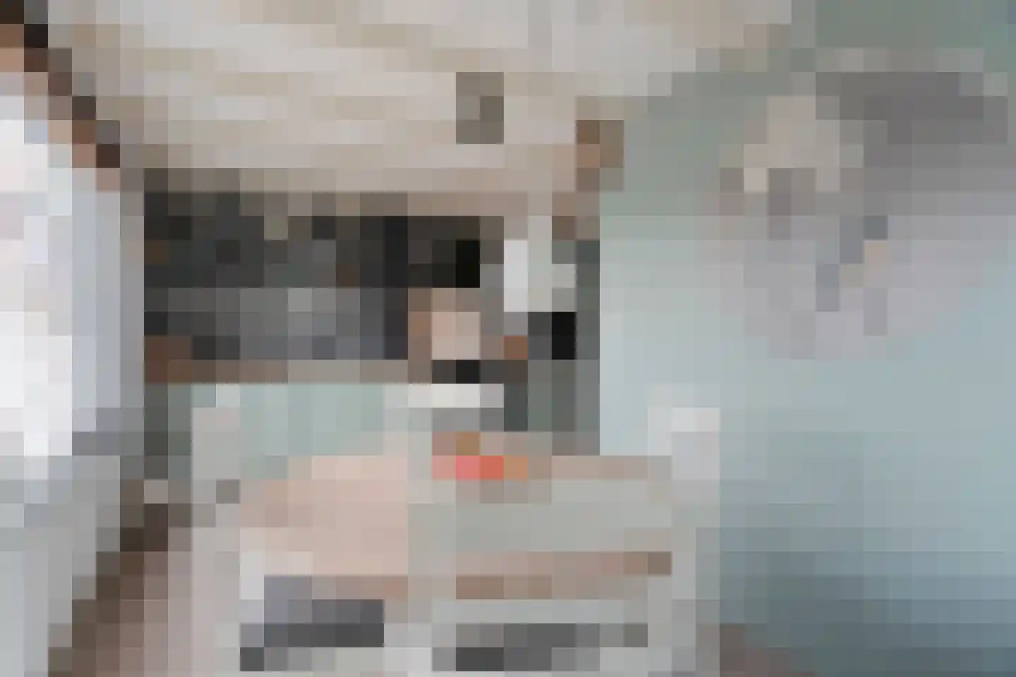 Den Ilp 200 Den Ilp thumbnail 14