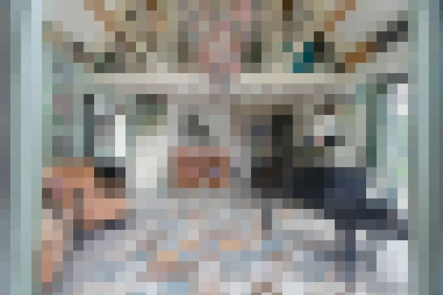 Den Ilp 200 Den Ilp thumbnail 17