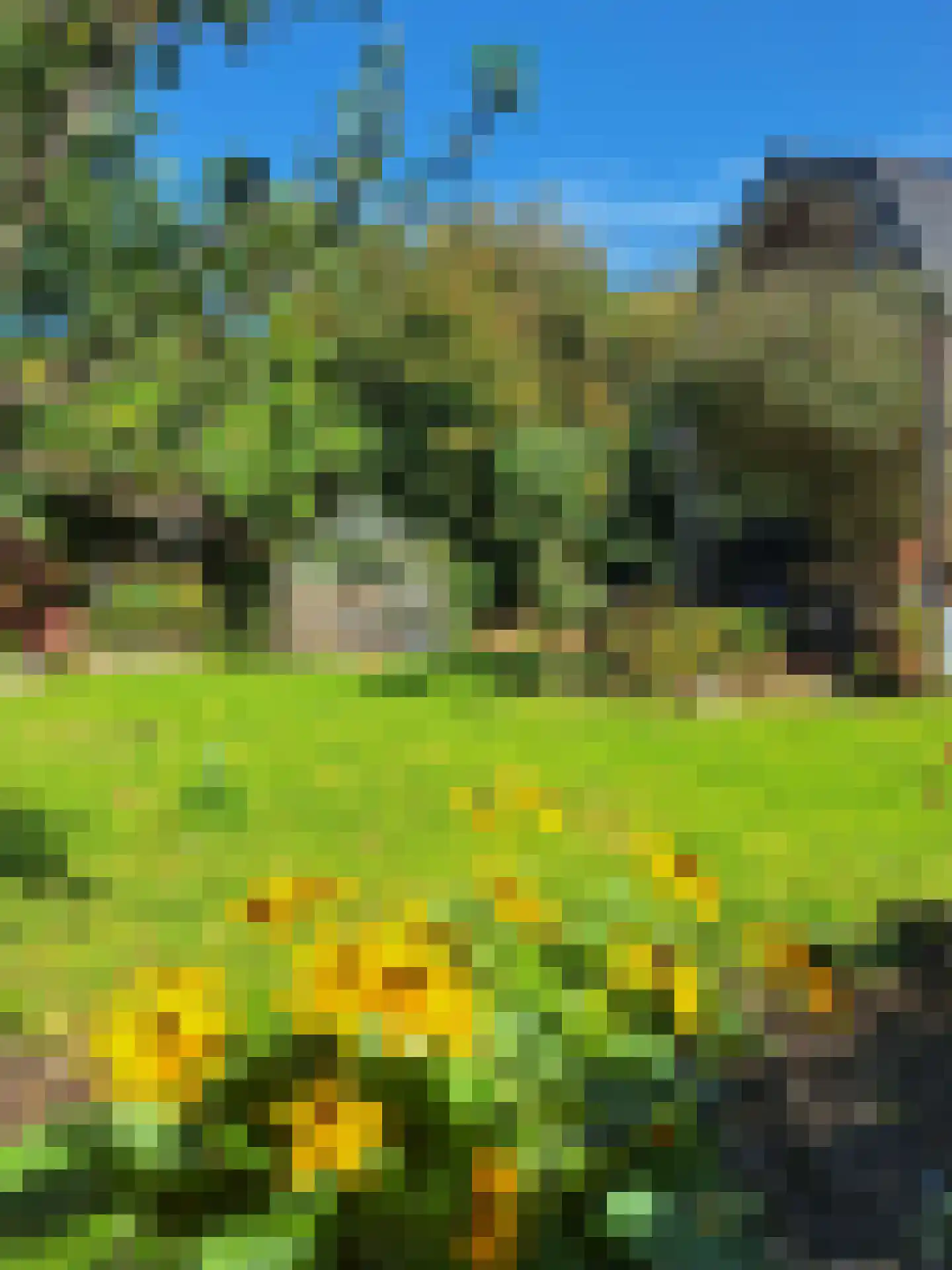 Den Ilp 200 Den Ilp thumbnail 39