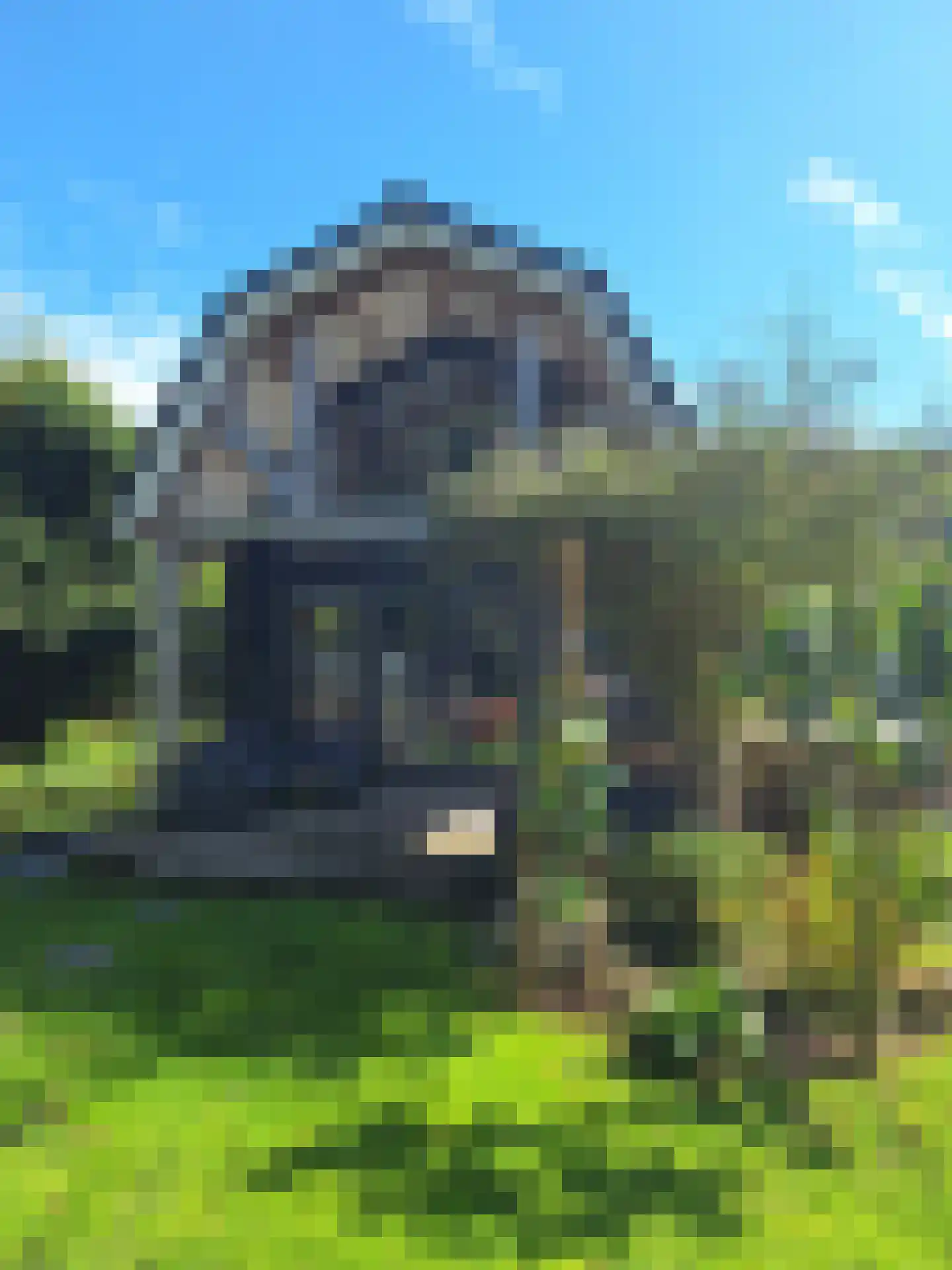 Den Ilp 200 Den Ilp thumbnail 40