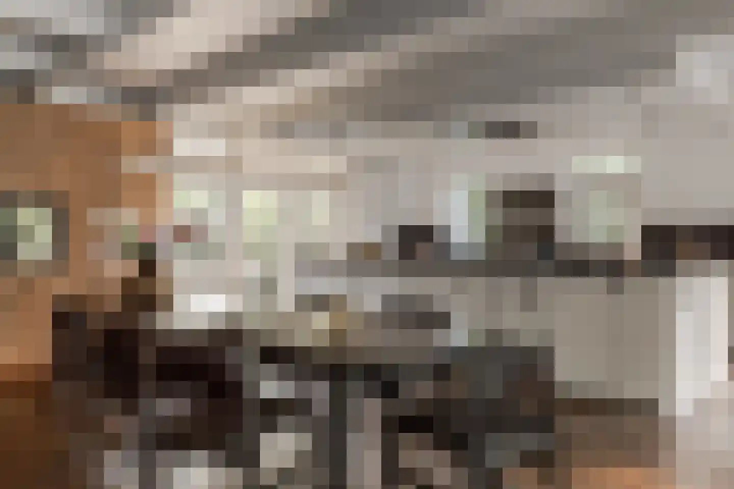 Den Ilp 201 Den Ilp thumbnail 12