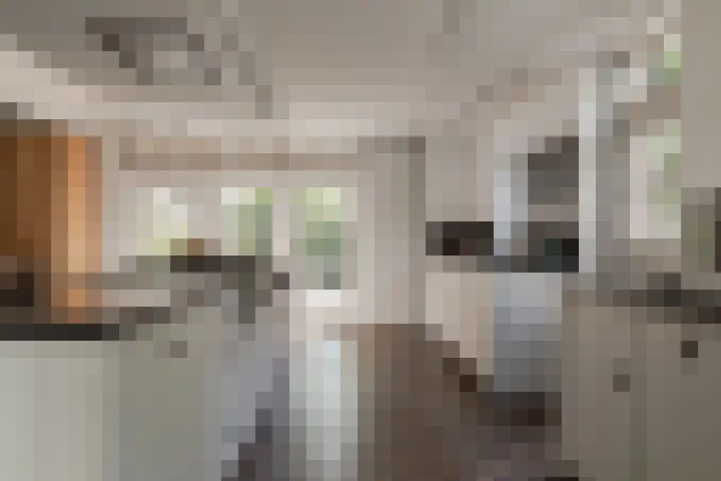 Den Ilp 201 Den Ilp thumbnail 13