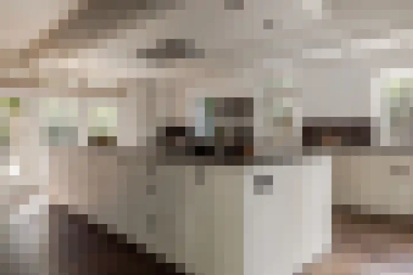 Den Ilp 201 Den Ilp thumbnail 15