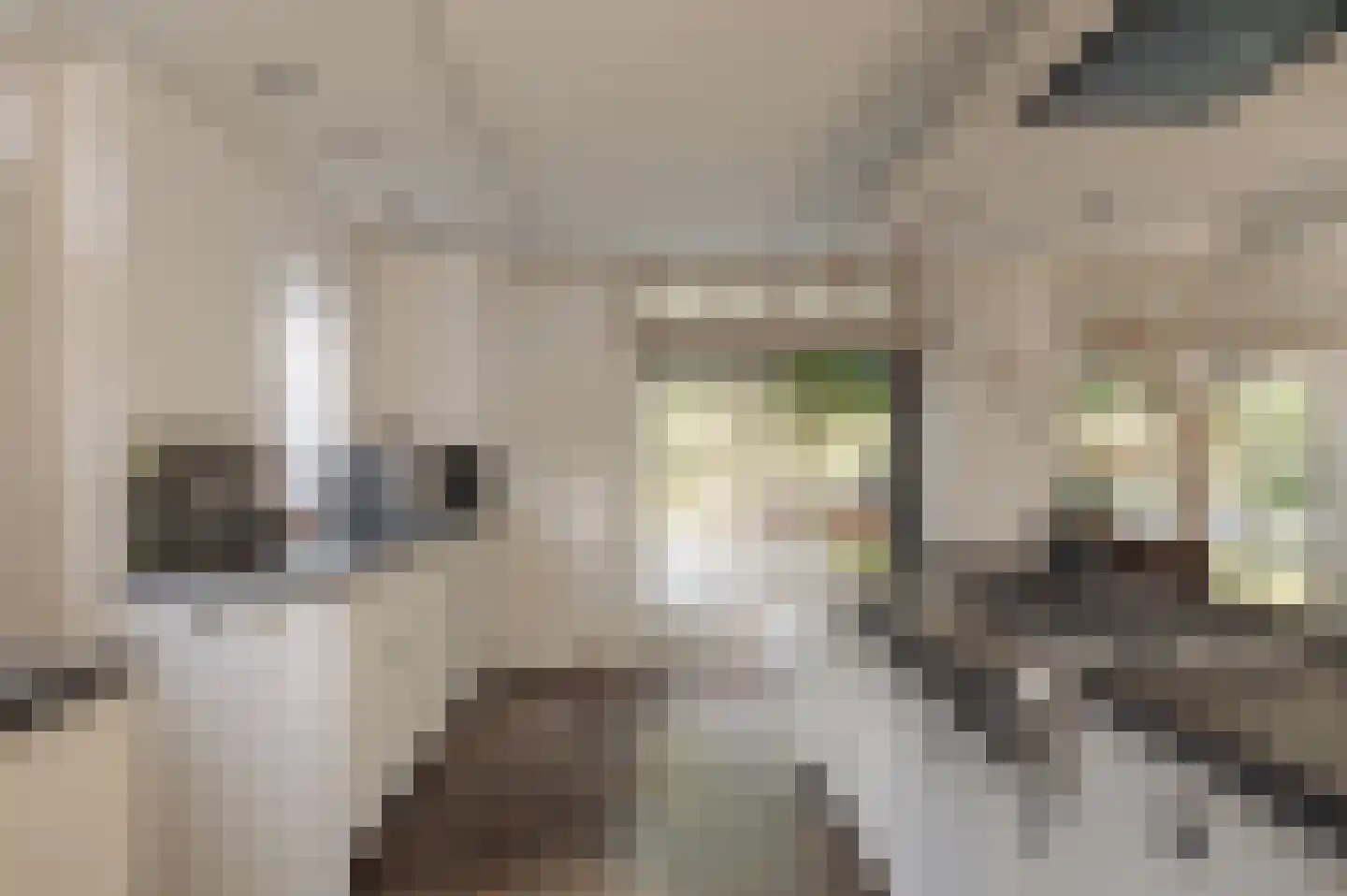 Den Ilp 201 Den Ilp thumbnail 17