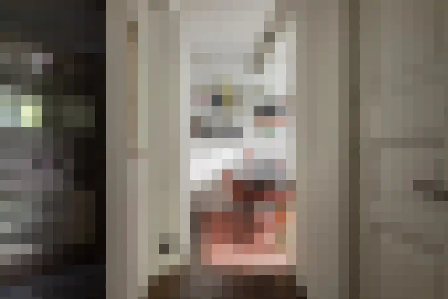 Den Ilp 201 Den Ilp thumbnail 19