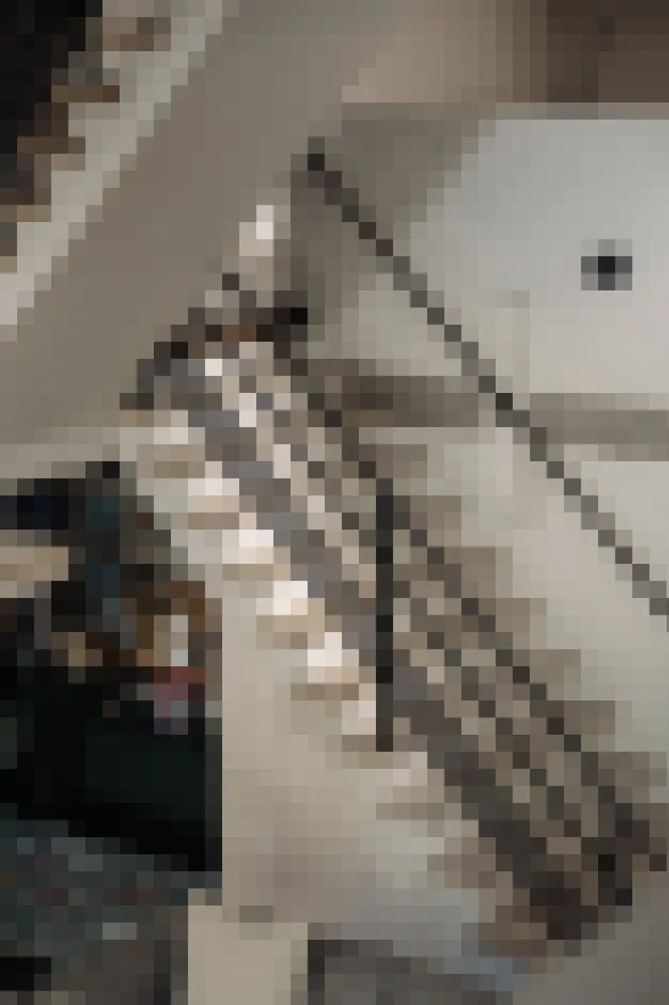 Den Ilp 201 Den Ilp thumbnail 23