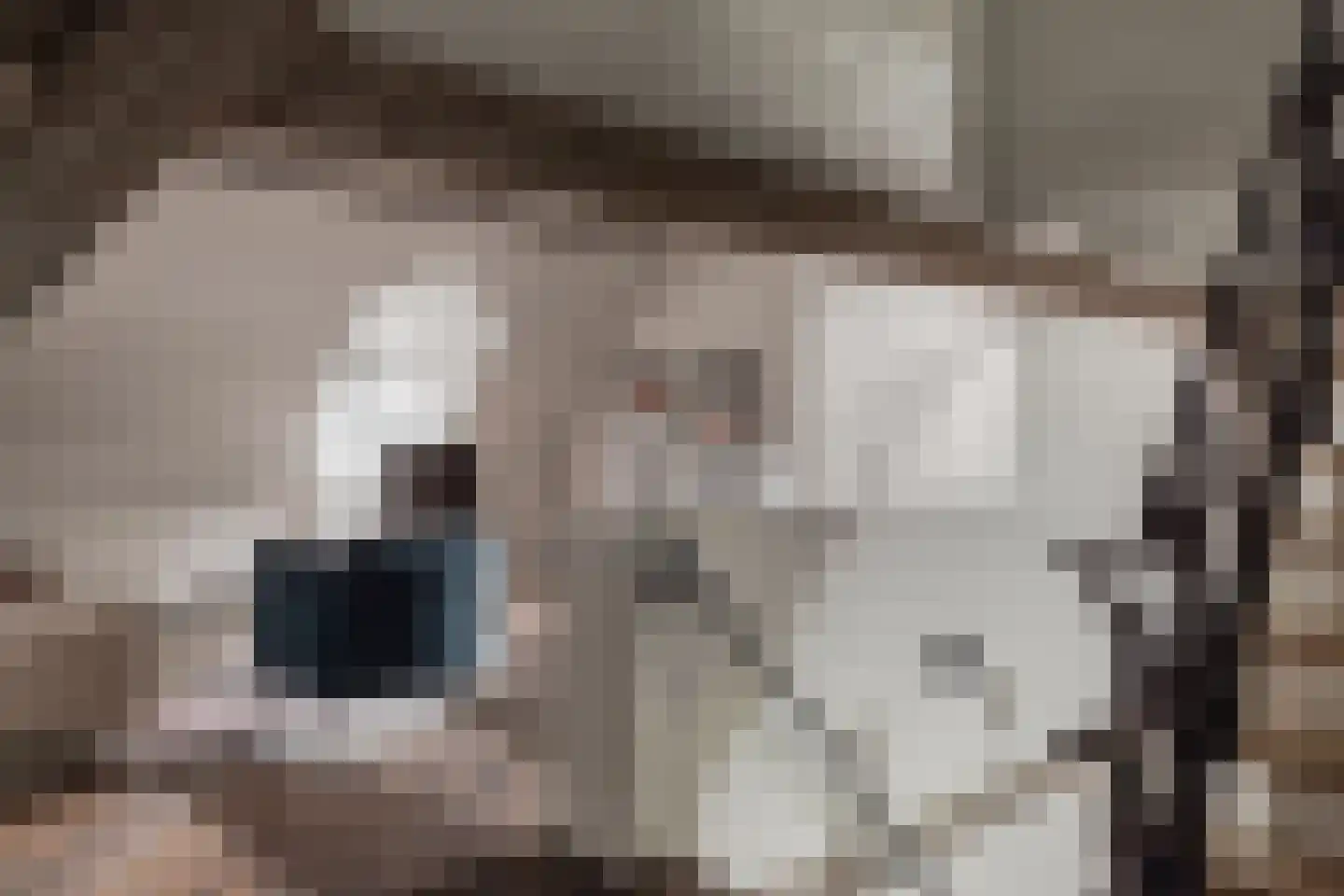 Den Ilp 201 Den Ilp thumbnail 23
