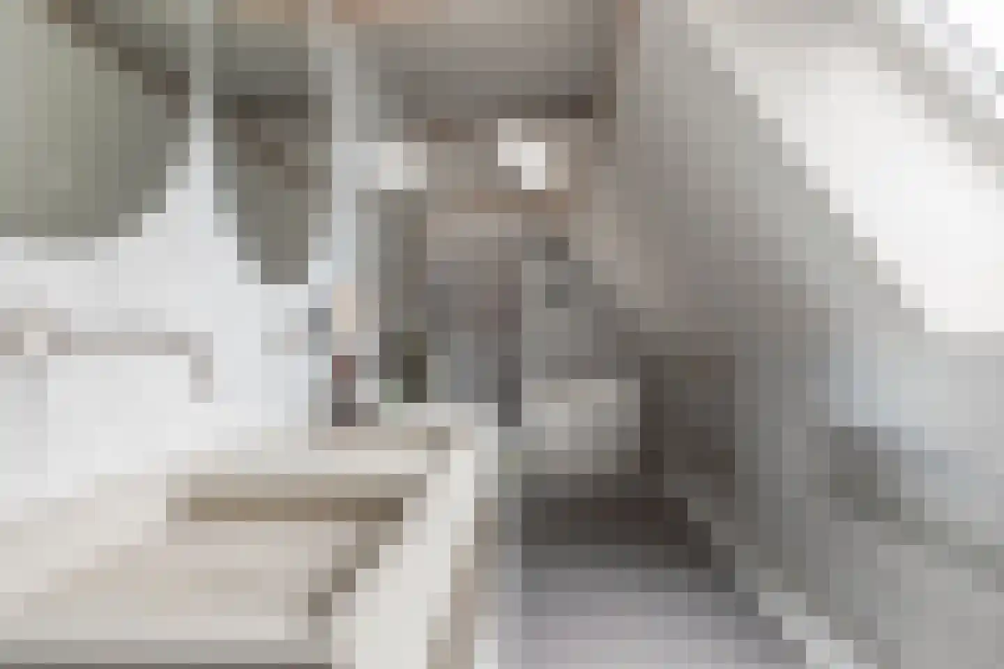 Den Ilp 201 Den Ilp thumbnail 26