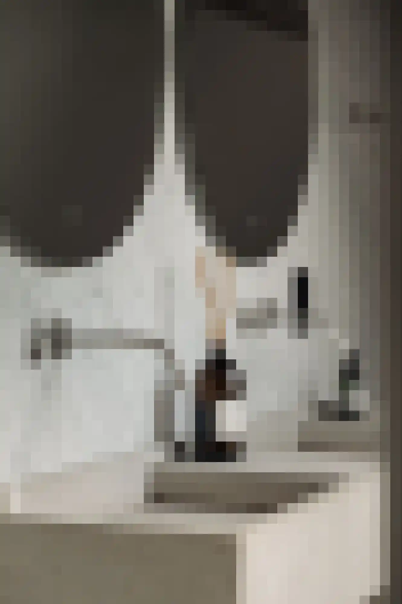 Den Ilp 201 Den Ilp thumbnail 32