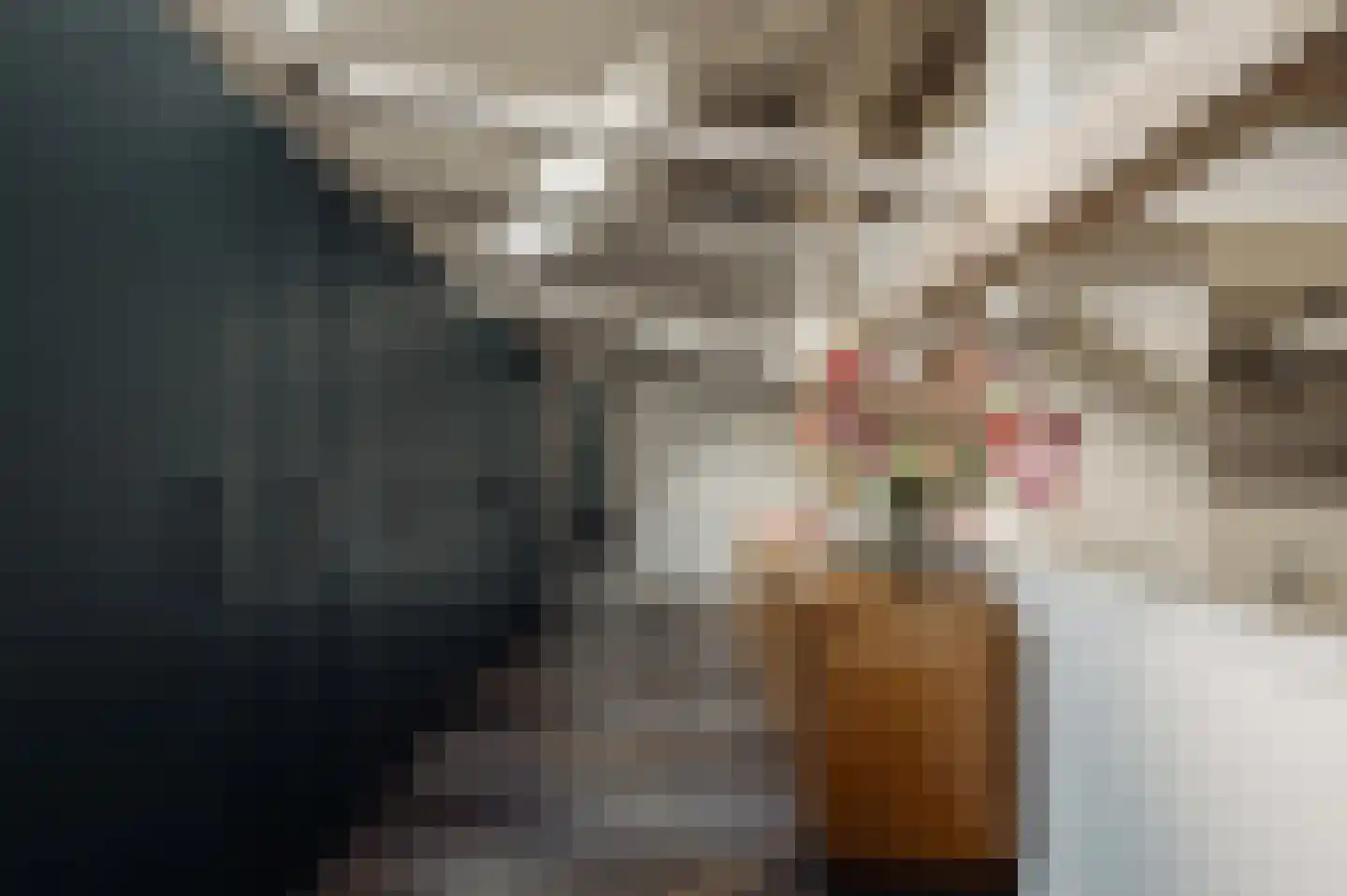 Den Ilp 201 Den Ilp thumbnail 36
