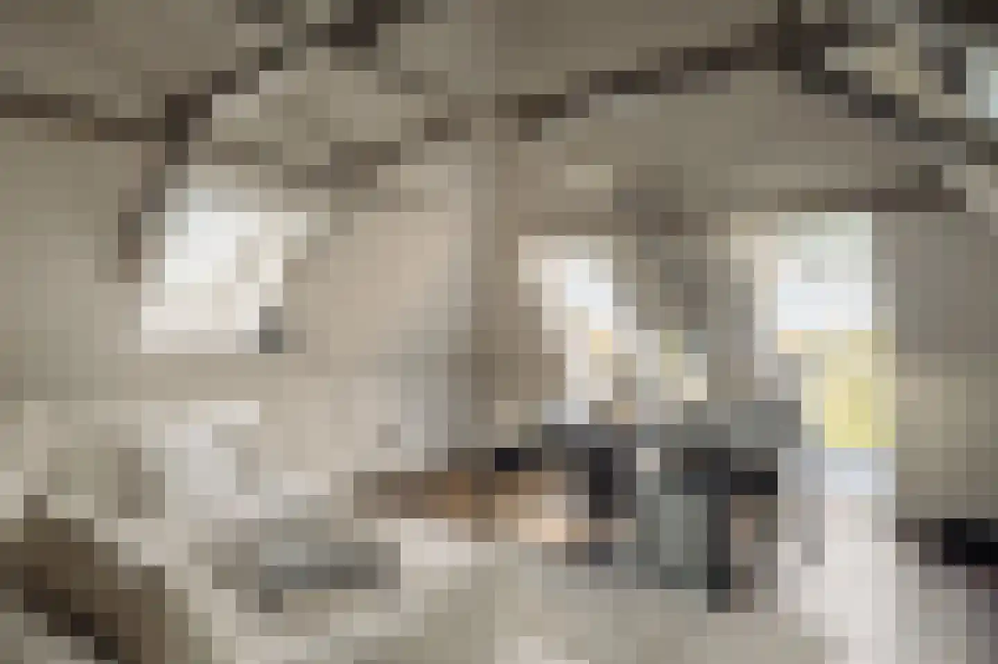 Den Ilp 201 Den Ilp thumbnail 39