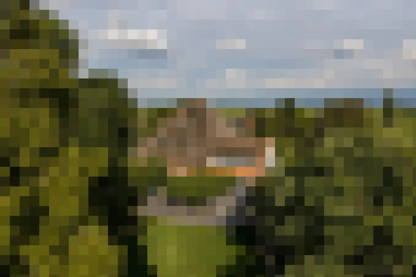 Den Ilp 201 Den Ilp thumbnail 4