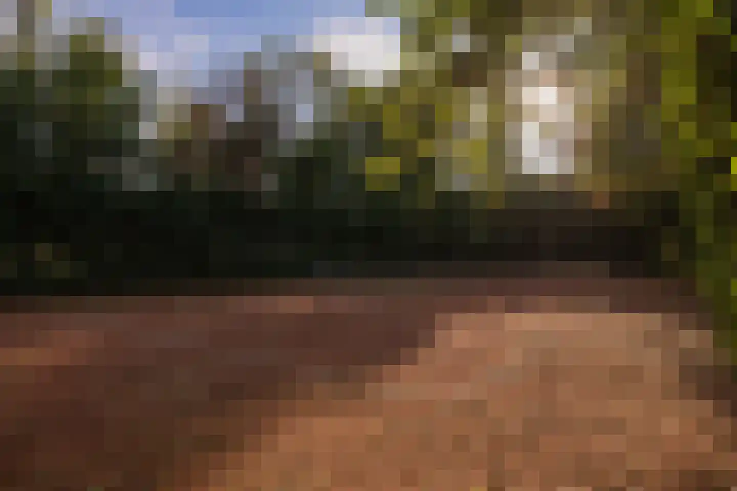 Den Ilp 201 Den Ilp thumbnail 41