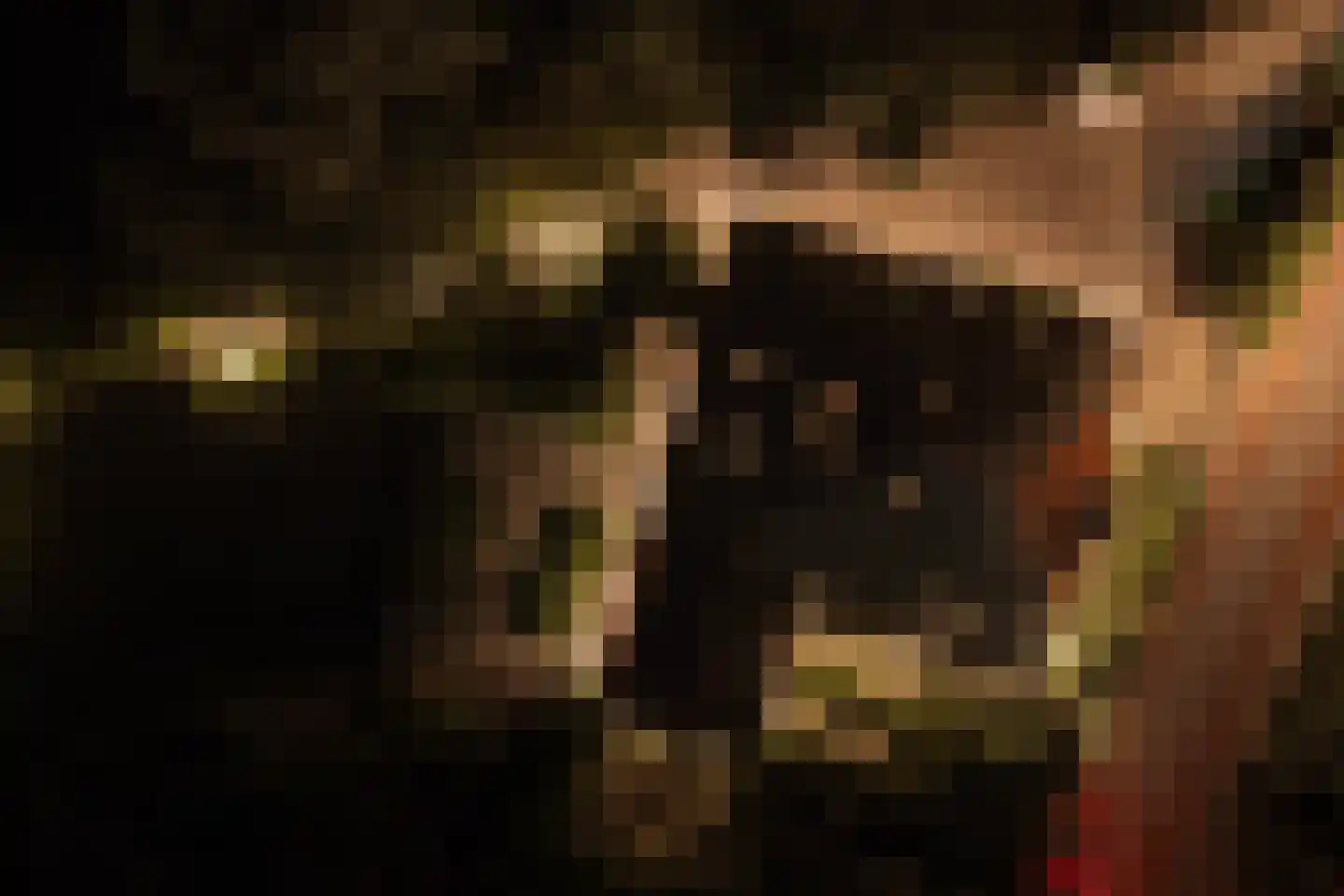 Den Ilp 201 Den Ilp thumbnail 47