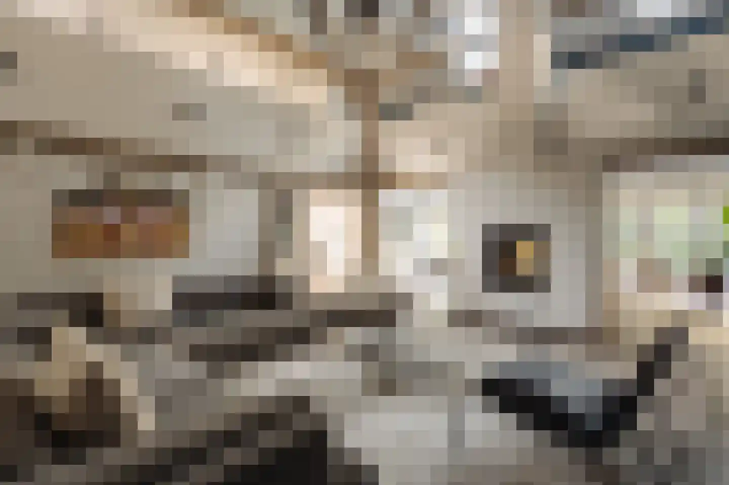 Den Ilp 201 Den Ilp thumbnail 5