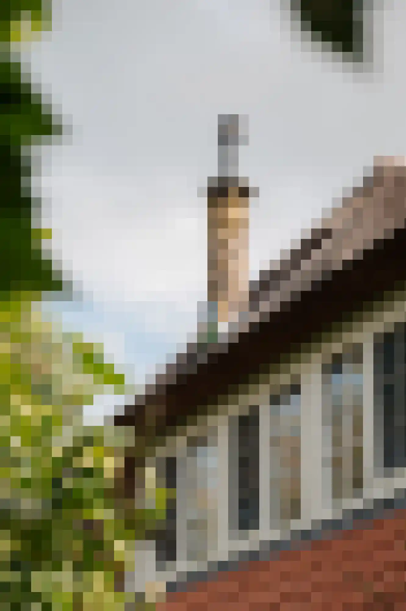Den Ilp 201 Den Ilp thumbnail 50