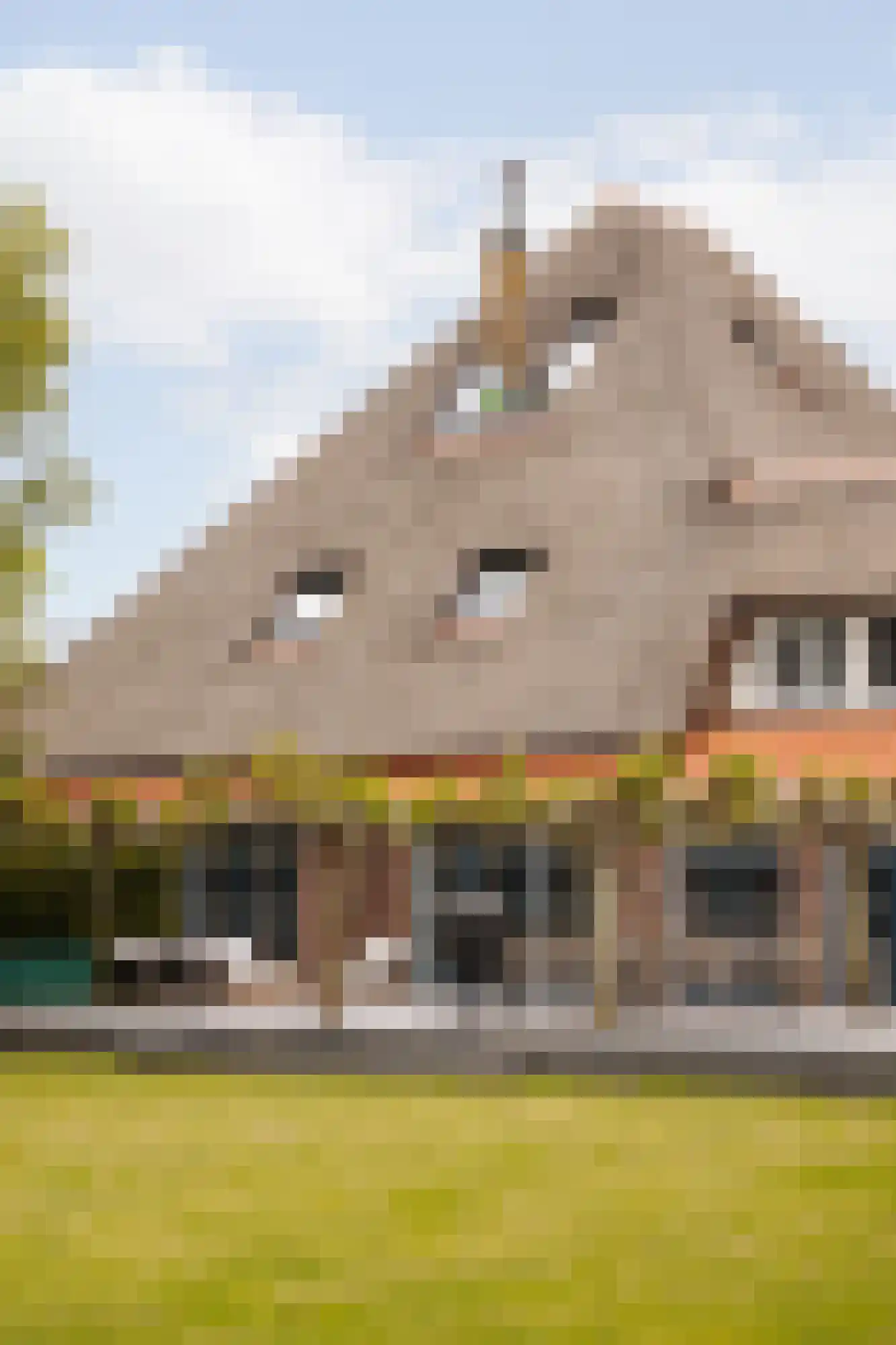 Den Ilp 201 Den Ilp thumbnail 52