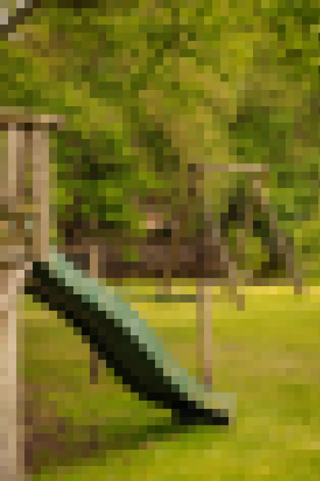 Den Ilp 201 Den Ilp thumbnail 54