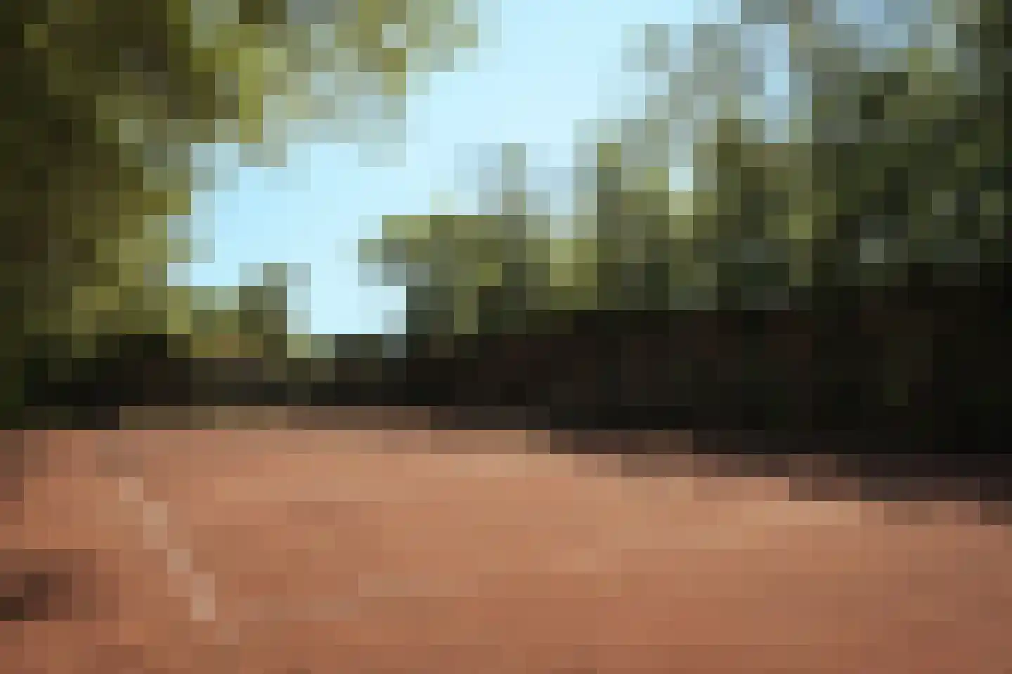 Den Ilp 201 Den Ilp thumbnail 55