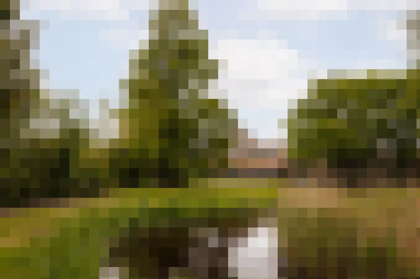 Den Ilp 201 Den Ilp thumbnail 57